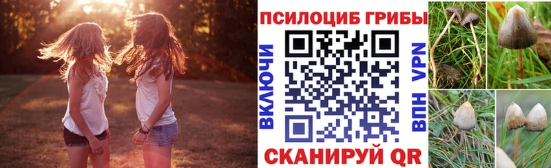 OMG рабочий сайт  Семёнов  Псилоцибиновые грибы MAGIC MUSHROOMS 